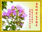 法轮功,长春大法弟子恭贺师尊华诞暨大法洪传二十二周年(20条)
