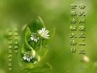 法轮功,长春大法弟子恭贺师尊华诞暨大法洪传二十二周年(20条)
