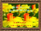 法轮功,长春大法弟子恭贺师尊华诞暨大法洪传二十二周年(20条)
