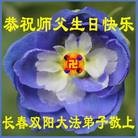 法轮功,长春大法弟子恭贺师尊华诞暨大法洪传二十二周年(20条)
