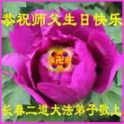 法轮功,长春大法弟子恭贺师尊华诞暨大法洪传二十二周年(20条)
