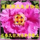 法轮功,长春大法弟子恭贺师尊华诞暨大法洪传二十二周年(20条)
