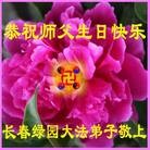 法轮功,长春大法弟子恭贺师尊华诞暨大法洪传二十二周年(20条)
