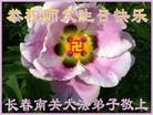 法轮功,长春大法弟子恭贺师尊华诞暨大法洪传二十二周年(20条)
