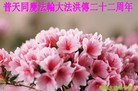 ֹ,ൺ󷨵ӹʦ𻪵ߴ󷨺鴫ʮ(19)
