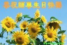 ֹ,ൺ󷨵ӹʦ𻪵ߴ󷨺鴫ʮ(19)
