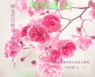 法轮功,湖南大法弟子恭贺师尊华诞暨大法洪传二十二周年(22条)
