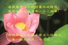 ֹ,ϴ󷨵ӹش󷨺鴫ʮʦ𻪵(26)
