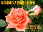ֹ,ɽ󷨵ӹ編ִʦ𻪵(25)
