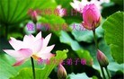 ֹ,ϴ󷨵ӹ編ִʦ𻪵(27)
