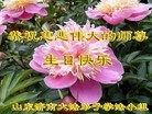 ֹ,ϴ󷨵ӹ編ִʦ𻪵(27)
