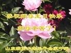 ֹ,ϴ󷨵ӹ編ִʦ𻪵(27)
