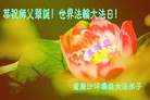 法轮功,重庆大法弟子恭贺大法洪传二十二周年暨师尊华诞(29条)
