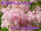 ֹ,ϴ󷨵ӹش󷨺鴫ʮʦ𻪵(31)
