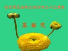 ֹ,ӱ󷨵ӹش󷨺鴫ʮʦ𻪵(27)
