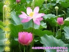 ֹ,󷨵ӹش󷨺鴫ʮʦ𻪵(25)
