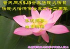 ֹ,󷨵ӹش󷨺鴫ʮʦ𻪵(25)
