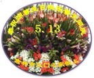 法轮功,吉林市大法弟子恭贺大法洪传二十二周年暨师尊华诞(24条)
