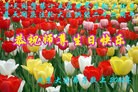 ֹ,󷨵ӹش󷨺鴫ʮʦ𻪵(25)
