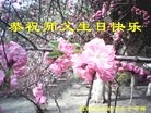 ֹ,󷨵ӹش󷨺鴫ʮʦ𻪵(28)
