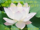 法轮功,重庆大法弟子恭贺大法洪传二十二周年暨师尊华诞(29条)
