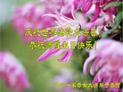 ֹ,ɽ󷨵ӹش󷨺鴫ʮʦ𻪵(22)
