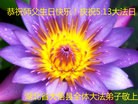 ֹ,󷨵ӹ編ִʦ𻪵(30)
