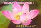 ֹ,ϴ󷨵ӹش󷨺鴫ʮʦ𻪵(26)
