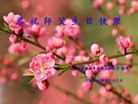 ֹ,󷨵ӹش󷨺鴫ʮʦ𻪵(25)
