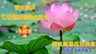 ֹ,󷨵ӹ編ִʦ𻪵(27)
