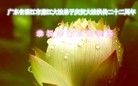 ֹ,㶫󷨵ӹش󷨺鴫ʮʦ𻪵(26)
