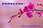 ֹ,ɹŴ󷨵ӹ編ִʦ𻪵(27)
