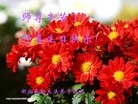 ֹ,󷨵ӹ編ִʦ𻪵(29)
