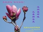 ֹ,󷨵ӹ編ִʦ𻪵(29)
