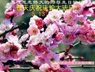 法轮功,重庆大法弟子恭贺世界法轮大法日暨师尊华诞(26条)
