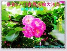 ֹ,̽󷨵ӹ編ִʦ𻪵(26)
