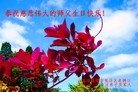 ֹ,ɽ󷨵ӹ編ִʦ𻪵(25)
