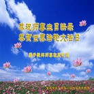 法轮功,重庆大法弟子恭贺世界法轮大法日暨师尊华诞(24条)
