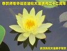 ֹ,󷨵ӹ編ִʦ𻪵(26)
