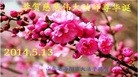 ֹ,ɽ󷨵ӹ編ִʦ𻪵(28)
