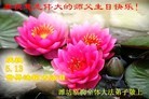 ֹ,Ϋ󷨵ӹ編ִʦ𻪵(29)
