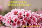 ֹ,Ϋ󷨵ӹ編ִʦ𻪵(29)
