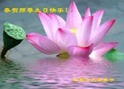 法轮功,吉林省大法弟子恭贺世界法轮大法日暨师尊华诞(30条)
