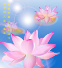 ֹ,󷨵ӹ編ִʦ𻪵(32)
