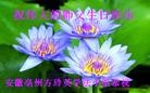 ֹ,մ󷨵ӹ編ִʦ𻪵(29)
