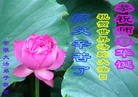 ֹ,մ󷨵ӹ編ִʦ𻪵(29)
