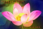 ֹ,֣ݴ󷨵ӹ編ִʦ𻪵(25)
