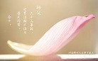 ֹ,֣ݴ󷨵ӹ編ִʦ𻪵(25)
