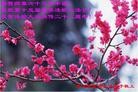 ֹ,󷨵ӹ編ִʦ𻪵(26)
