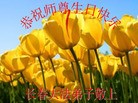 法轮功,长春大法弟子恭贺世界法轮大法日暨师尊华诞(27条)
